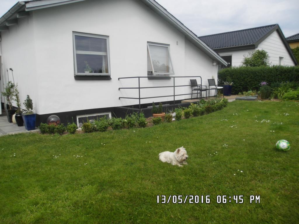 Mit Bed & Breakfast Kolding Exterior foto